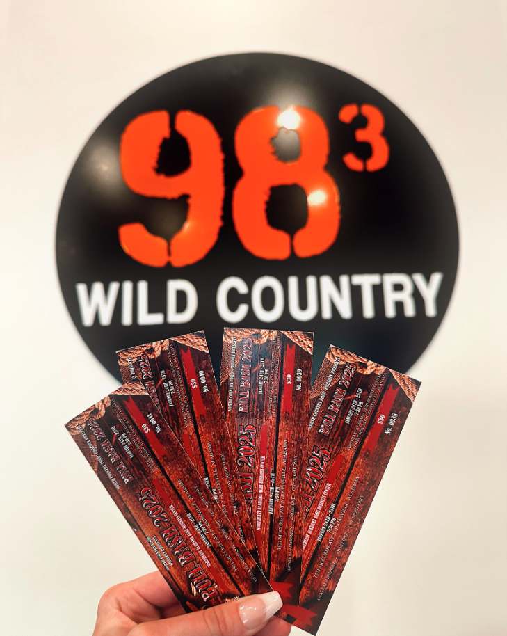 Wild Country Studio View